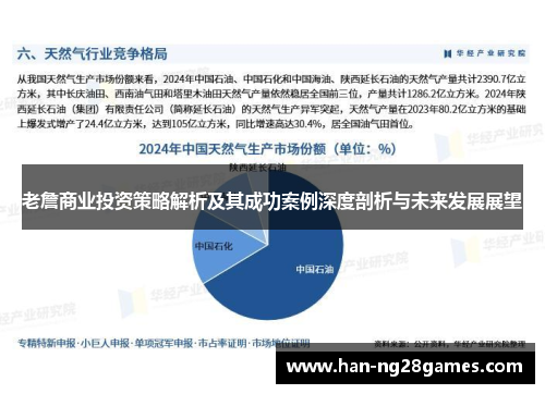 老詹商业投资策略解析及其成功案例深度剖析与未来发展展望
