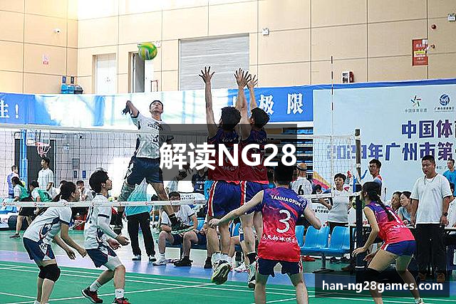 解读NG28